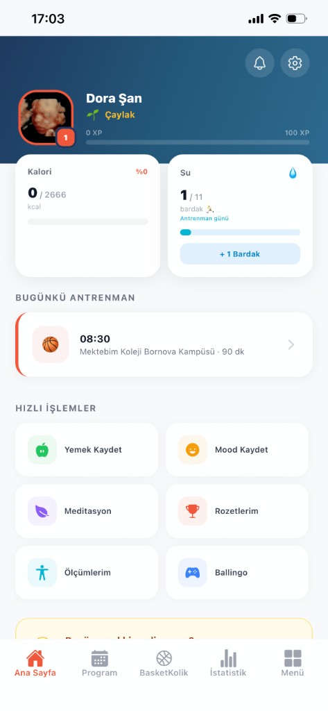 Alpify Ana Ekran ekranı - Tüm Gelişim Tek Bakışta